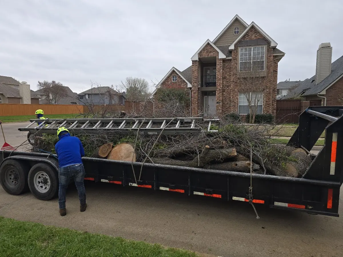 Expert Tree Fertilization with proper safety equipment in Marietta